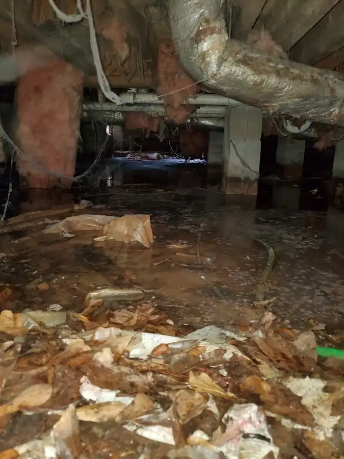 Crawl space flood assessment for Leak Detection & Repair in De Soto